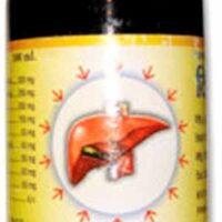 livosar syrup 100 ml ganga pharmaceuticals